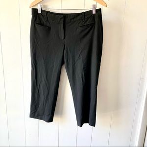 Loft Dress Capri Pant Size 8 Petite